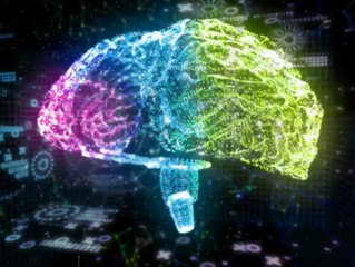 Manifestation Miracle Review