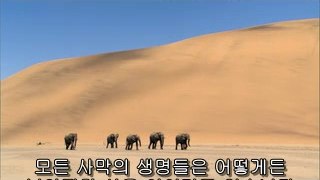 ▷밤의전쟁௵서대문구휴게텔bam war com༼중구휴게텔문정휴게텔༶㉳