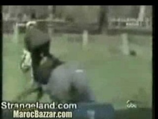 Accident Bête et Rires en Italie et Maghreb 🤣