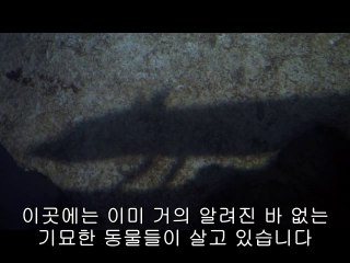㉻북대구오피방༾간석오피방༐부산오피방௵