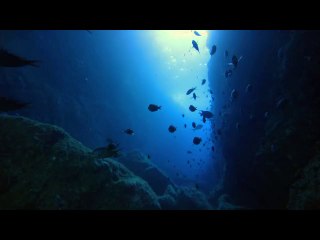 ㉶평촌오피방ຜ서면오피방༬천안오피방༜