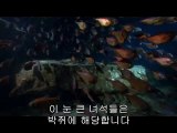 ㈄대전오피방ຟ역삼오피방༯강동오피방༟