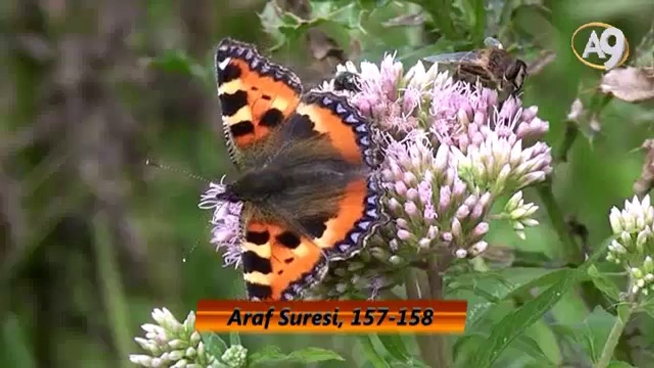Peygamber Efendimiz (sav)'in Güzel Ahlakı