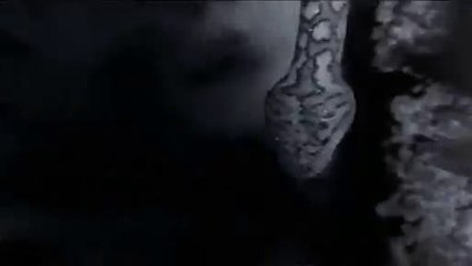 ㉯평촌오피방༓서면오피방༅천안오피방༿