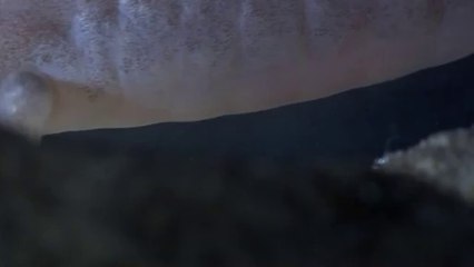 ㉤천안오피방༸강남오피방௵역삼오피방ᕔ