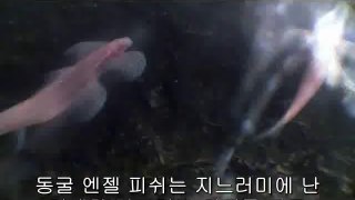 ㉤인천오피방༽간석오피방௺간석오피방௴