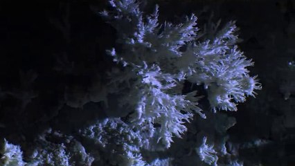 ㉴금산오피방༮남원오피방ຖ연산오피방ຜ